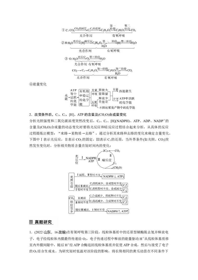 2023年高考生物二轮复习（全国版）第1篇专题突破专题2考点3　光合作用、细胞呼吸的过程分析_通用版（老高考）复习资料_2023年复习资料_二轮复习
