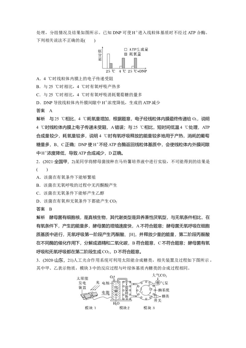 2023年高考生物二轮复习（全国版）第1篇专题突破专题2考点3　光合作用、细胞呼吸的过程分析_通用版（老高考）复习资料_2023年复习资料_二轮复习