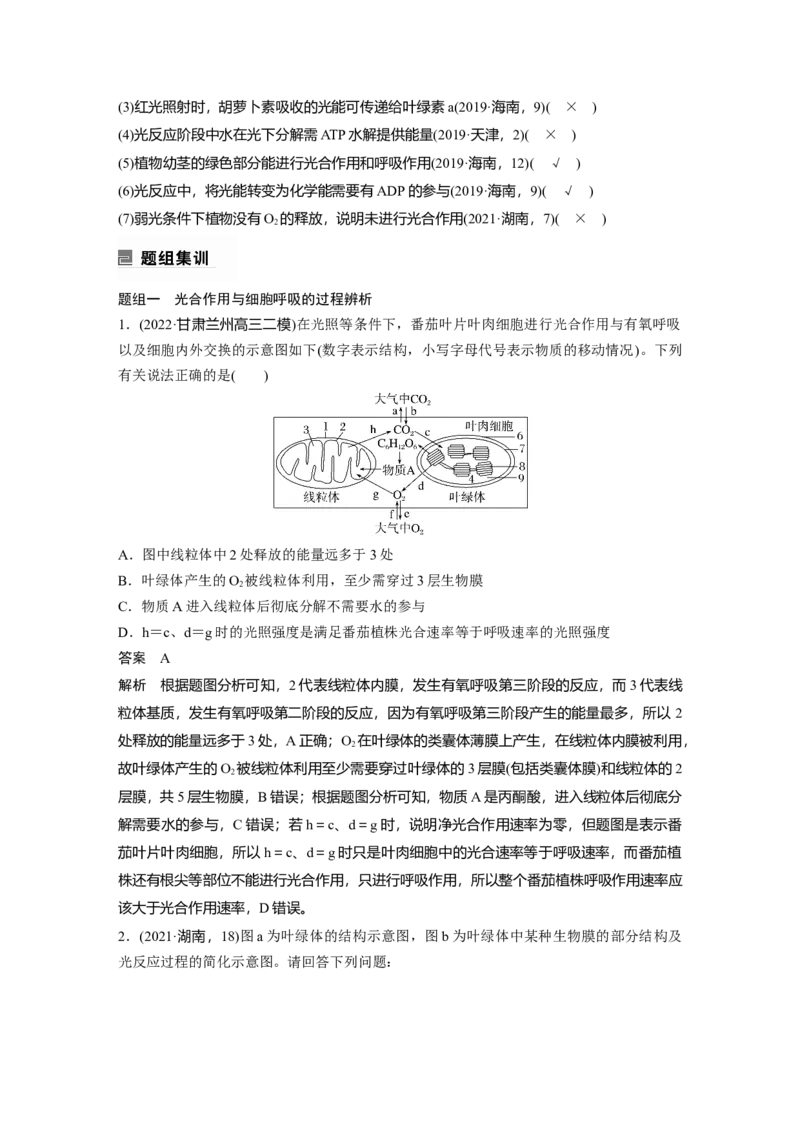 2023年高考生物二轮复习（全国版）第1篇专题突破专题2考点3　光合作用、细胞呼吸的过程分析_通用版（老高考）复习资料_2023年复习资料_二轮复习