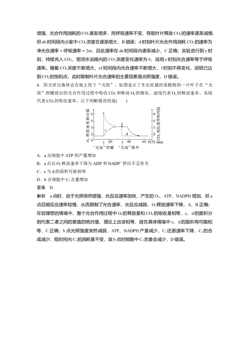 2023年高考生物二轮复习（全国版）第1篇专题突破专题2考点3　光合作用、细胞呼吸的过程分析_通用版（老高考）复习资料_2023年复习资料_二轮复习
