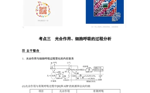 2023年高考生物二轮复习（全国版）第1篇专题突破专题2考点3　光合作用、细胞呼吸的过程分析_通用版（老高考）复习资料_2023年复习资料_二轮复习