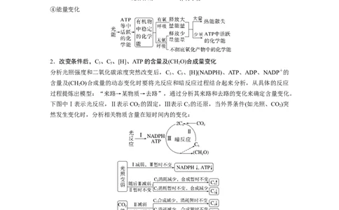 2023年高考生物二轮复习（全国版）第1篇专题突破专题2考点3　光合作用、细胞呼吸的过程分析_通用版（老高考）复习资料_2023年复习资料_二轮复习