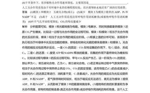 2023年高考生物二轮复习（全国版）第1篇专题突破专题2考点3　光合作用、细胞呼吸的过程分析_通用版（老高考）复习资料_2023年复习资料_二轮复习