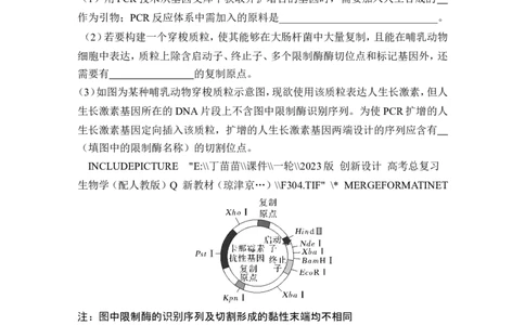 热点微练22PCR技术的应用(尖子生特训)_2024年新高考资料_1.2024一轮复习_2024年高考生物一轮复习讲义（新人教版）_另附1套Word版题库_选择性必修3_第十单元生物技术与工程