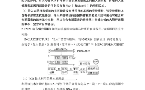 热点微练22PCR技术的应用(尖子生特训)_2024年新高考资料_1.2024一轮复习_2024年高考生物一轮复习讲义（新人教版）_另附1套Word版题库_选择性必修3_第十单元生物技术与工程