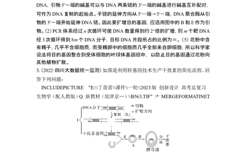 热点微练22PCR技术的应用(尖子生特训)_2024年新高考资料_1.2024一轮复习_2024年高考生物一轮复习讲义（新人教版）_另附1套Word版题库_选择性必修3_第十单元生物技术与工程