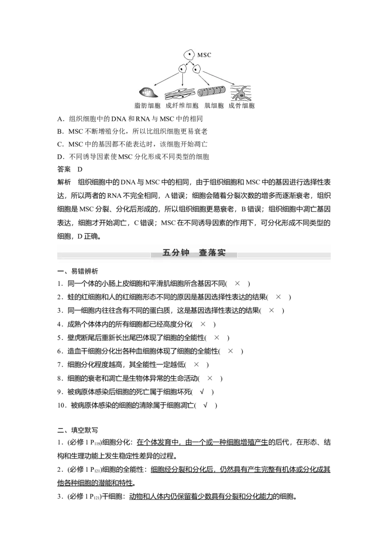 2023年高考生物一轮复习（新人教新高考）第4单元第5课时　细胞的分化、衰老和死亡_新高考复习资料_2023年新高考复习资料_一轮复习_2023年新高考大一轮复习讲义