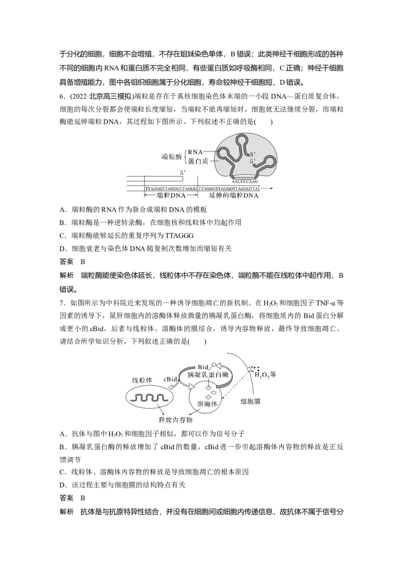 2023年高考生物一轮复习（新人教新高考）第4单元第5课时　细胞的分化、衰老和死亡_新高考复习资料_2023年新高考复习资料_一轮复习_2023年新高考大一轮复习讲义