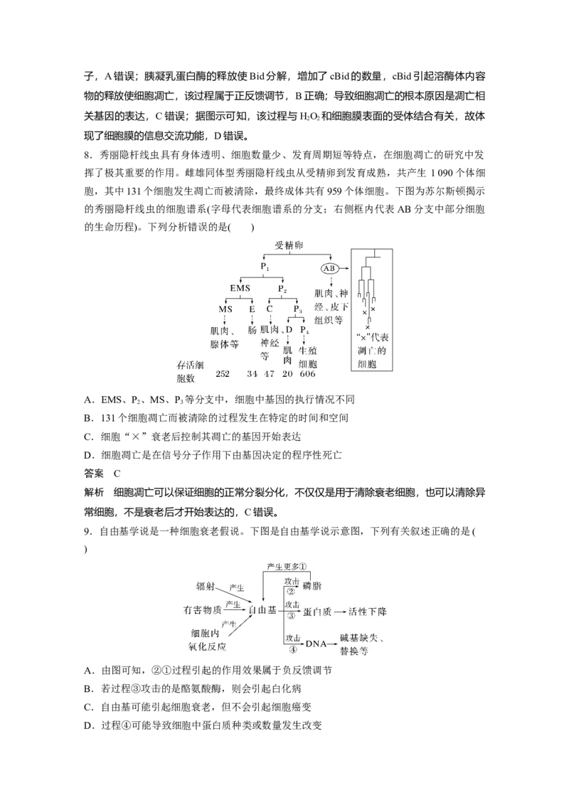 2023年高考生物一轮复习（新人教新高考）第4单元第5课时　细胞的分化、衰老和死亡_新高考复习资料_2023年新高考复习资料_一轮复习_2023年新高考大一轮复习讲义