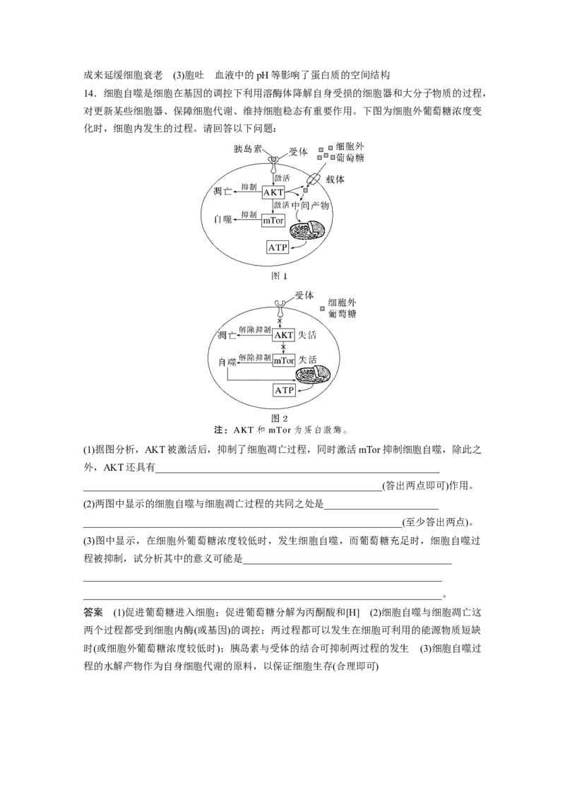 2023年高考生物一轮复习（新人教新高考）第4单元第5课时　细胞的分化、衰老和死亡_新高考复习资料_2023年新高考复习资料_一轮复习_2023年新高考大一轮复习讲义