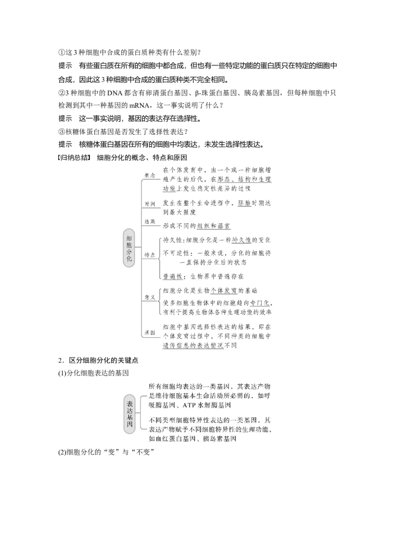 2023年高考生物一轮复习（新人教新高考）第4单元第5课时　细胞的分化、衰老和死亡_新高考复习资料_2023年新高考复习资料_一轮复习_2023年新高考大一轮复习讲义