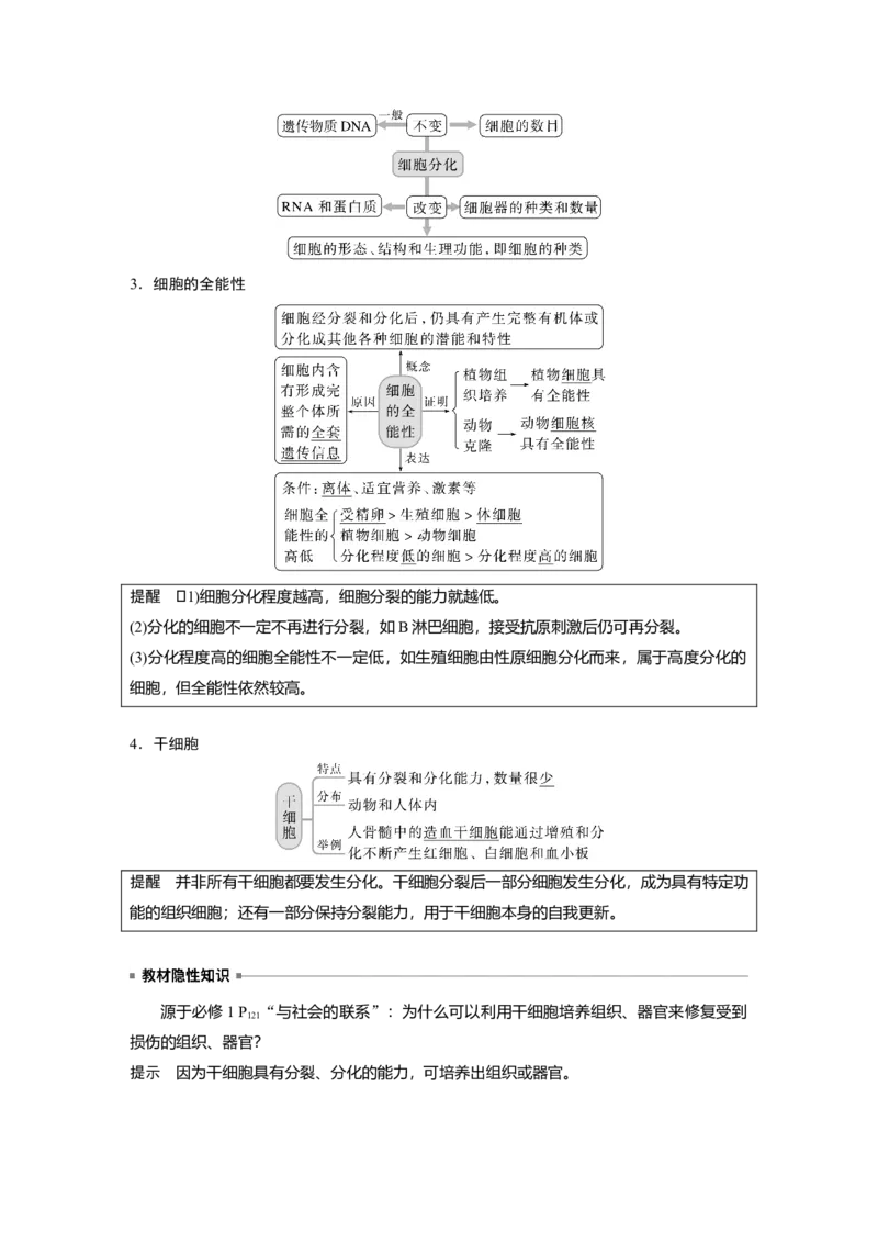 2023年高考生物一轮复习（新人教新高考）第4单元第5课时　细胞的分化、衰老和死亡_新高考复习资料_2023年新高考复习资料_一轮复习_2023年新高考大一轮复习讲义