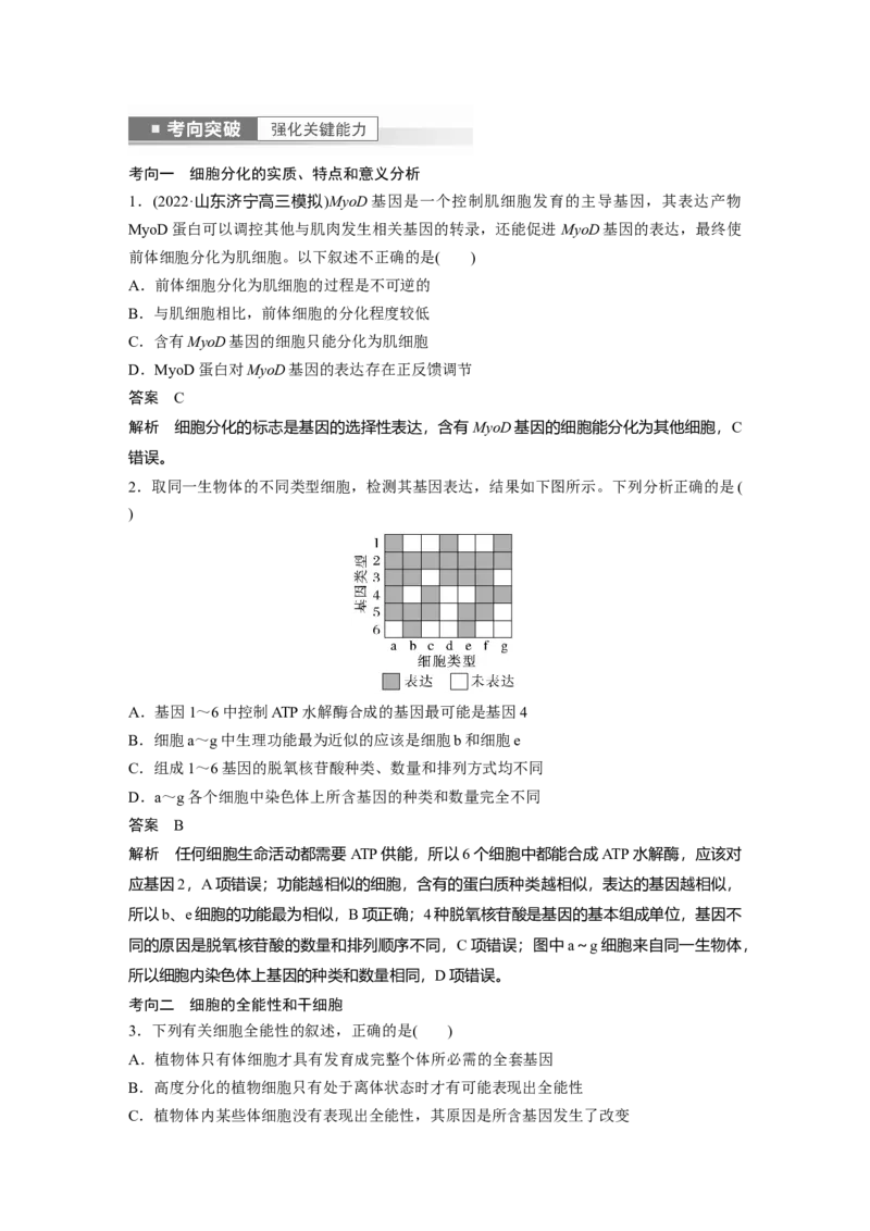 2023年高考生物一轮复习（新人教新高考）第4单元第5课时　细胞的分化、衰老和死亡_新高考复习资料_2023年新高考复习资料_一轮复习_2023年新高考大一轮复习讲义