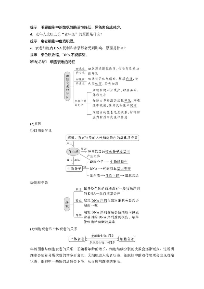 2023年高考生物一轮复习（新人教新高考）第4单元第5课时　细胞的分化、衰老和死亡_新高考复习资料_2023年新高考复习资料_一轮复习_2023年新高考大一轮复习讲义