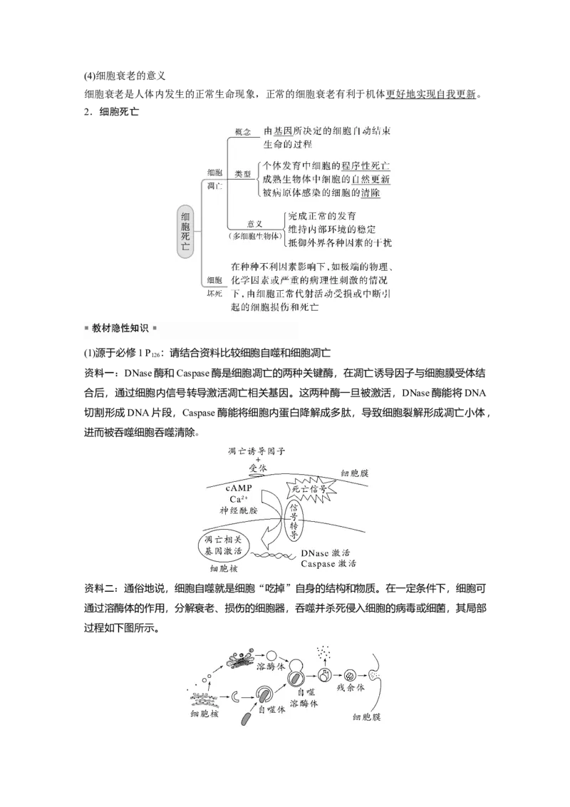 2023年高考生物一轮复习（新人教新高考）第4单元第5课时　细胞的分化、衰老和死亡_新高考复习资料_2023年新高考复习资料_一轮复习_2023年新高考大一轮复习讲义