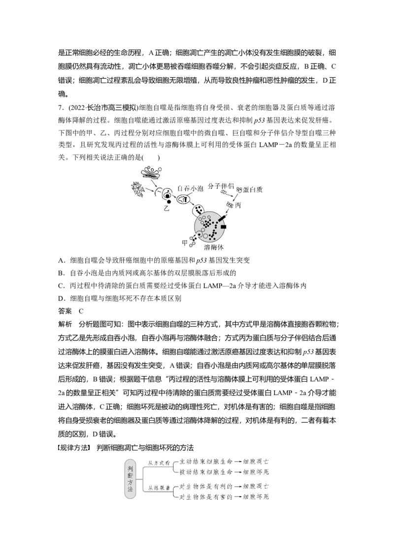 2023年高考生物一轮复习（新人教新高考）第4单元第5课时　细胞的分化、衰老和死亡_新高考复习资料_2023年新高考复习资料_一轮复习_2023年新高考大一轮复习讲义