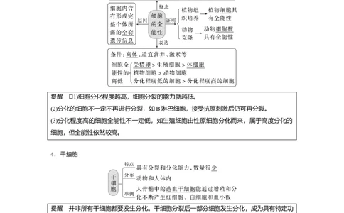 2023年高考生物一轮复习（新人教新高考）第4单元第5课时　细胞的分化、衰老和死亡_新高考复习资料_2023年新高考复习资料_一轮复习_2023年新高考大一轮复习讲义