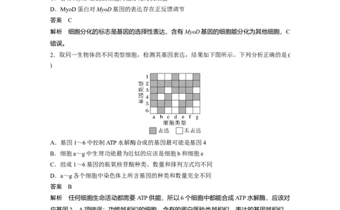 2023年高考生物一轮复习（新人教新高考）第4单元第5课时　细胞的分化、衰老和死亡_新高考复习资料_2023年新高考复习资料_一轮复习_2023年新高考大一轮复习讲义