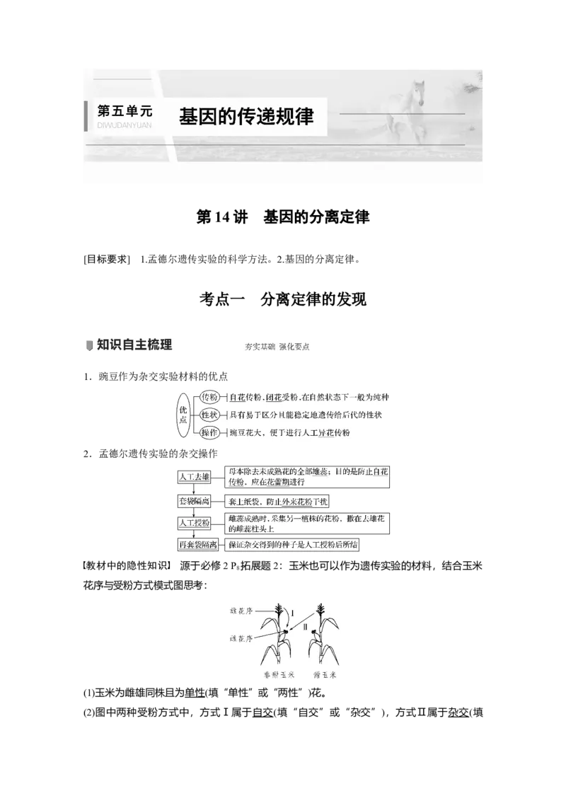 2022年高考生物一轮复习第5单元第14讲　基因的分离定律_新高考复习资料_2022年新高考复习资料_2022年一轮复习最新版_1.2022年高考生物一轮复习全国通用版