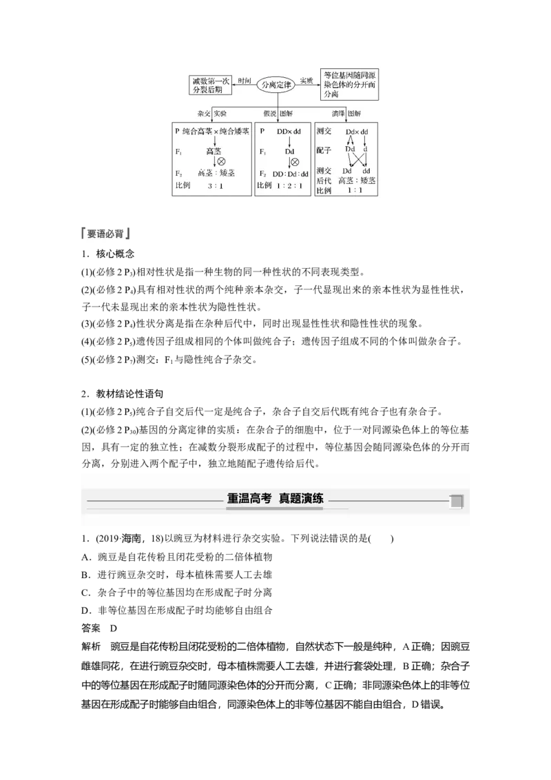 2022年高考生物一轮复习第5单元第14讲　基因的分离定律_新高考复习资料_2022年新高考复习资料_2022年一轮复习最新版_1.2022年高考生物一轮复习全国通用版