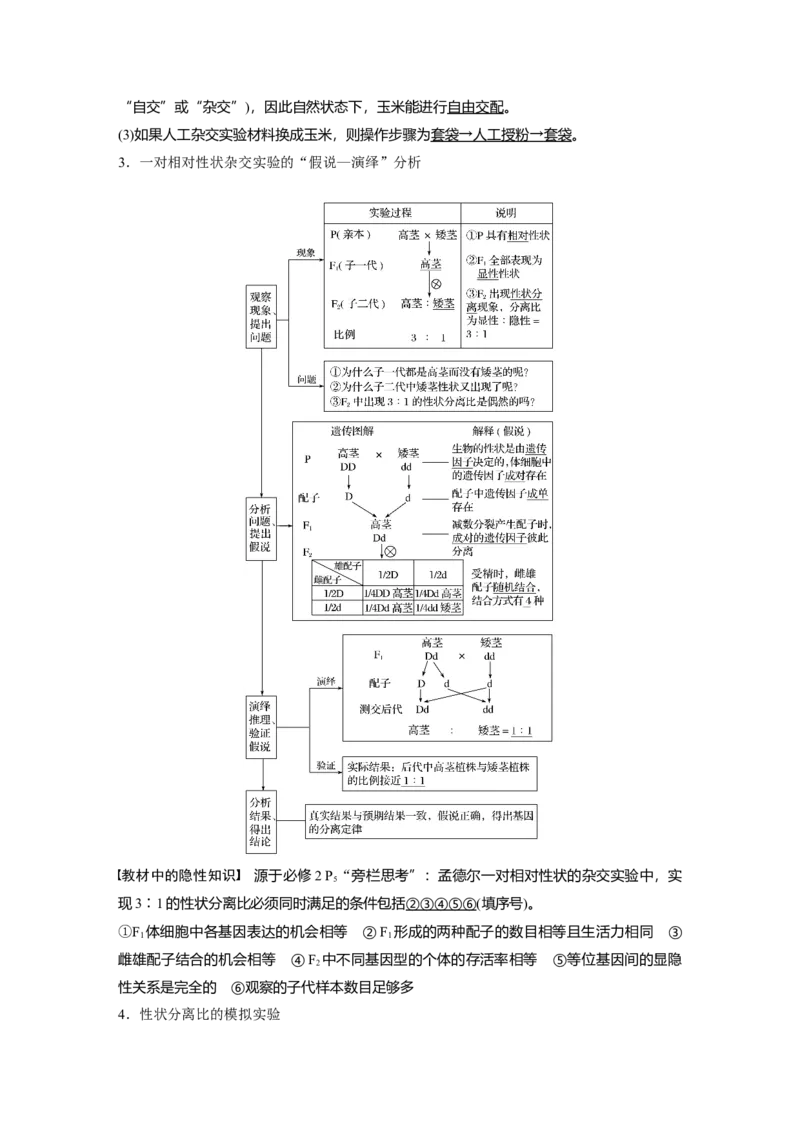 2022年高考生物一轮复习第5单元第14讲　基因的分离定律_新高考复习资料_2022年新高考复习资料_2022年一轮复习最新版_1.2022年高考生物一轮复习全国通用版