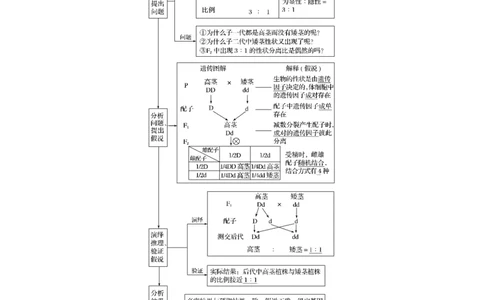2022年高考生物一轮复习第5单元第14讲　基因的分离定律_新高考复习资料_2022年新高考复习资料_2022年一轮复习最新版_1.2022年高考生物一轮复习全国通用版
