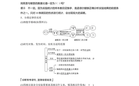 2022年高考生物一轮复习第5单元第14讲　基因的分离定律_新高考复习资料_2022年新高考复习资料_2022年一轮复习最新版_1.2022年高考生物一轮复习全国通用版