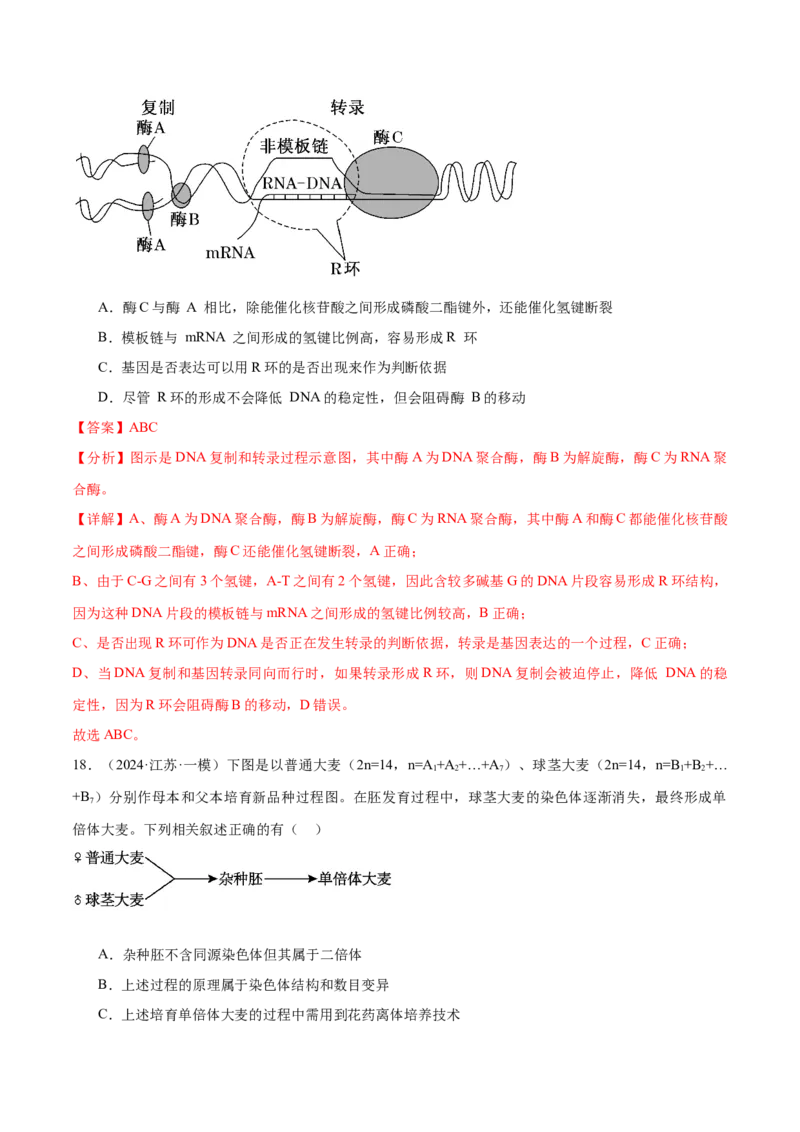 押江苏卷选择题遗传的分子基础、变异和进化（解析版）_2024年新高考资料_5.2024三轮冲刺_备战2024年高考生物临考题号押题（江苏专用）322855714