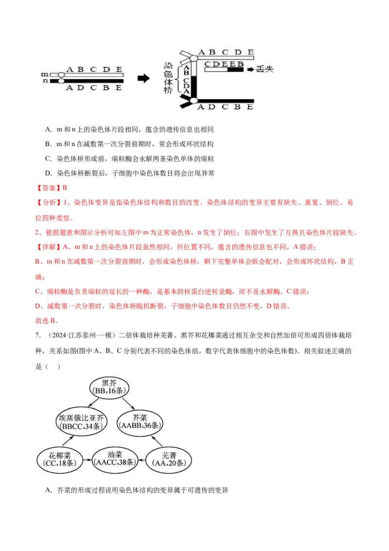 押江苏卷选择题遗传的分子基础、变异和进化（解析版）_2024年新高考资料_5.2024三轮冲刺_备战2024年高考生物临考题号押题（江苏专用）322855714