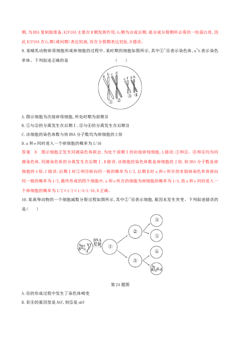 押题点08细胞的生命历程（解析版）_2024年新高考资料_5.2024三轮冲刺_备战2024年高考生物临考题号押题（辽宁、黑龙江、吉林专用）322857720
