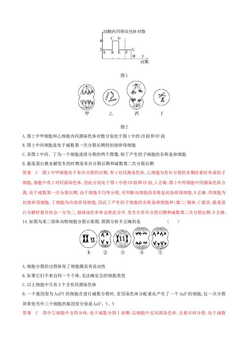 押题点08细胞的生命历程（解析版）_2024年新高考资料_5.2024三轮冲刺_备战2024年高考生物临考题号押题（辽宁、黑龙江、吉林专用）322857720