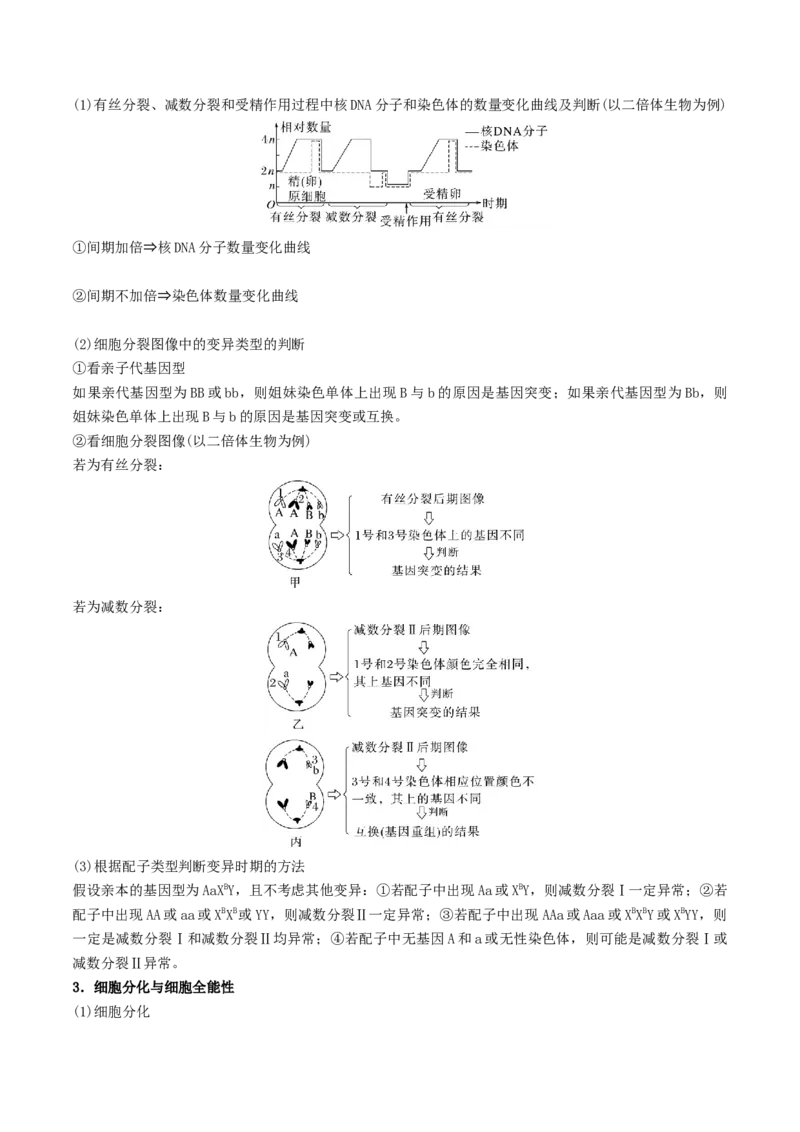 押题点08细胞的生命历程（解析版）_2024年新高考资料_5.2024三轮冲刺_备战2024年高考生物临考题号押题（辽宁、黑龙江、吉林专用）322857720