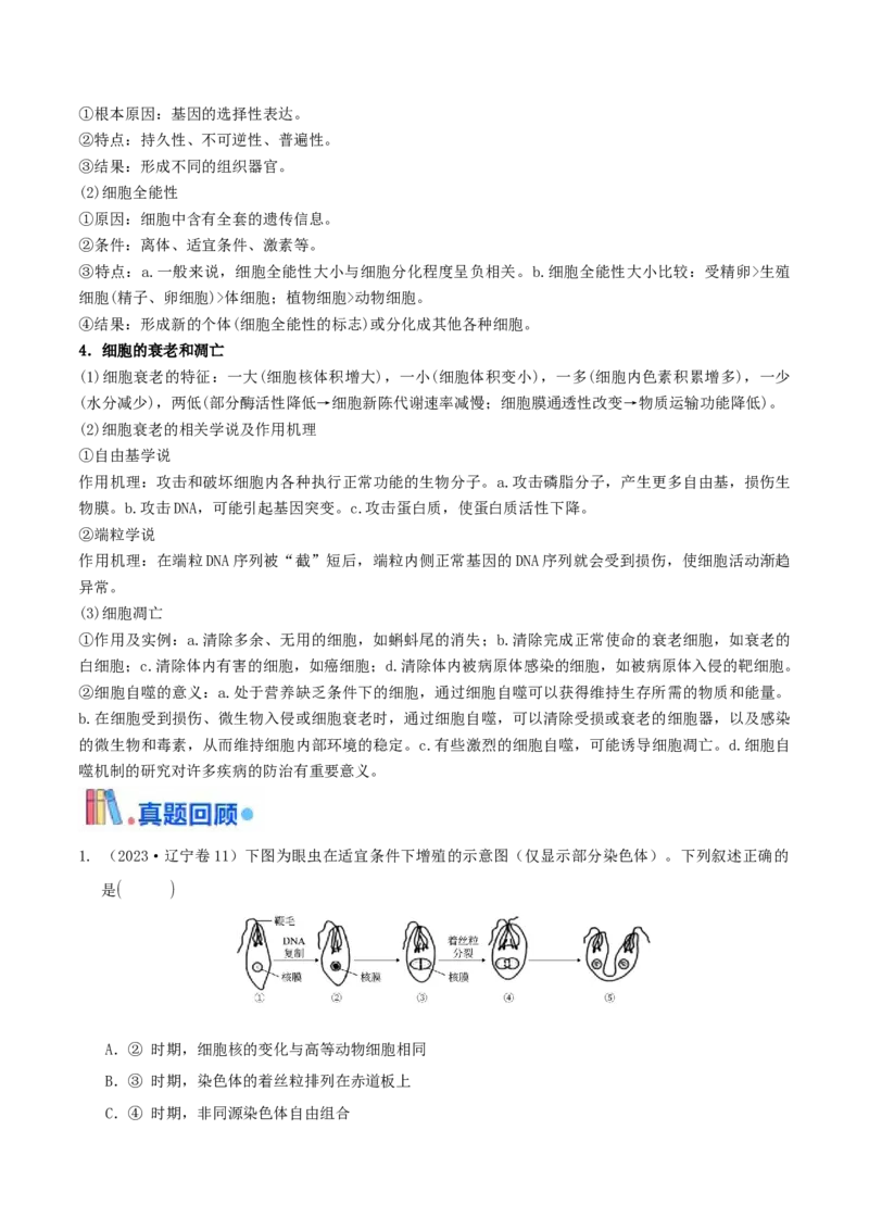 押题点08细胞的生命历程（解析版）_2024年新高考资料_5.2024三轮冲刺_备战2024年高考生物临考题号押题（辽宁、黑龙江、吉林专用）322857720