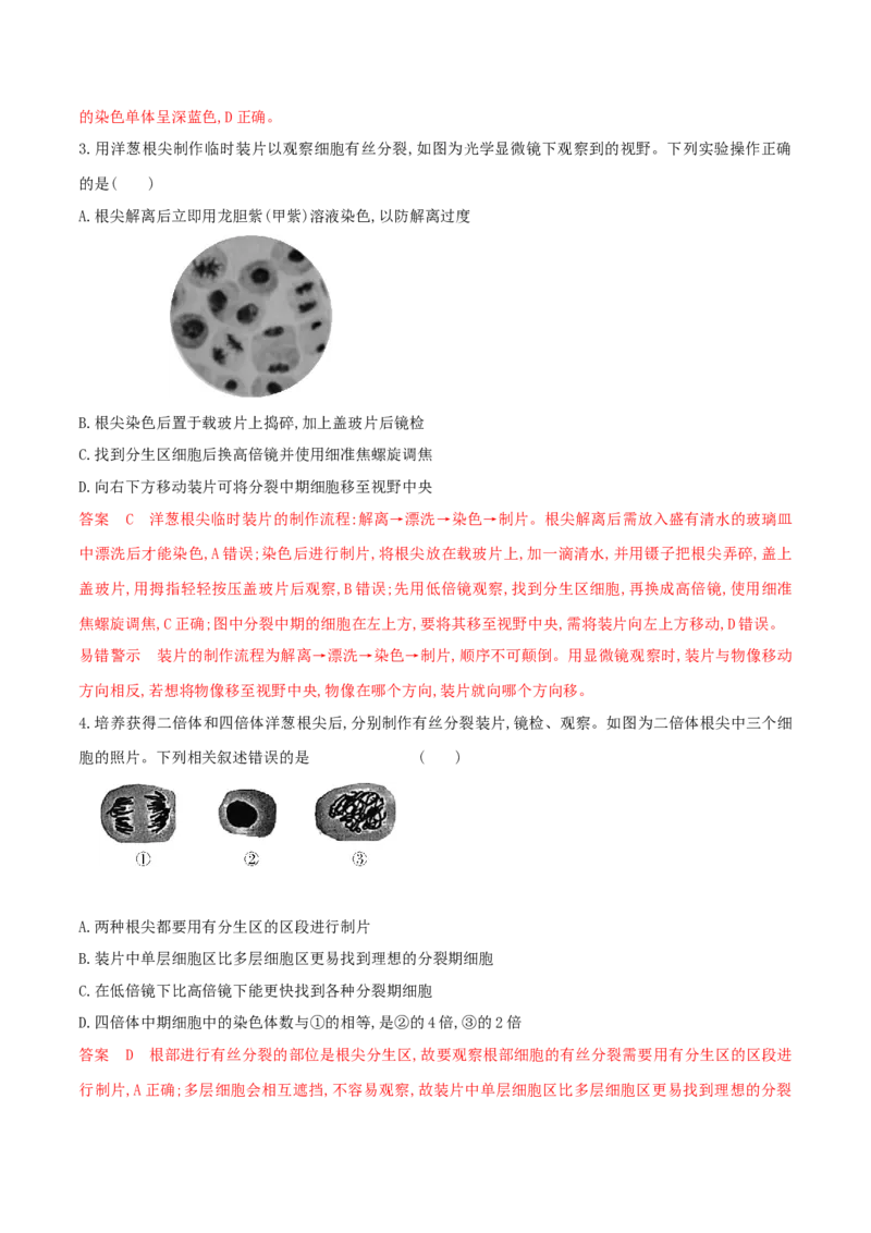 押题点08细胞的生命历程（解析版）_2024年新高考资料_5.2024三轮冲刺_备战2024年高考生物临考题号押题（辽宁、黑龙江、吉林专用）322857720