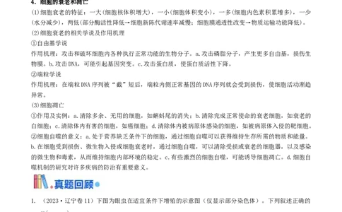 押题点08细胞的生命历程（解析版）_2024年新高考资料_5.2024三轮冲刺_备战2024年高考生物临考题号押题（辽宁、黑龙江、吉林专用）322857720