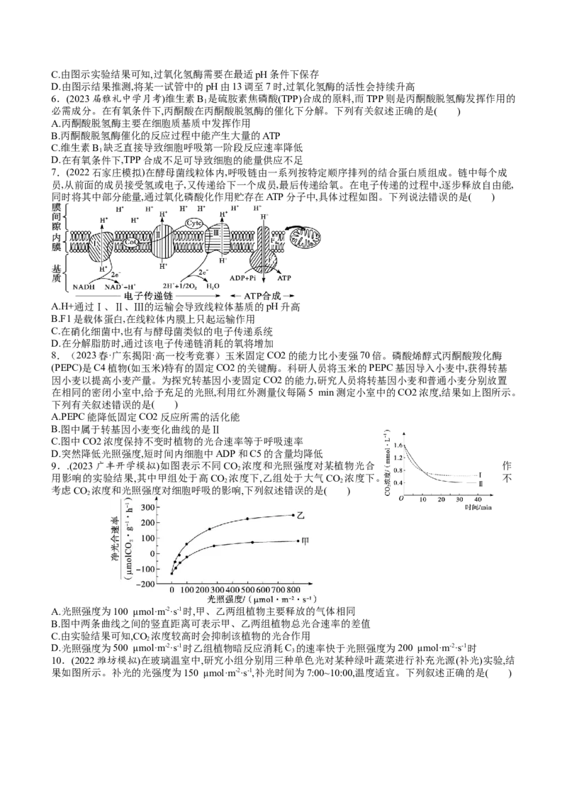 第11讲细胞代谢综合分析（练习）（原卷版）_2024年新高考资料_1.2024一轮复习_2024年高考生物一轮复习讲练测（新教材新高考）