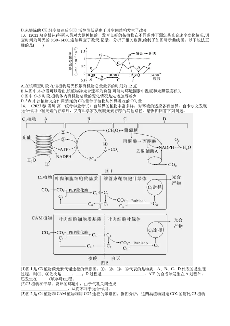 第11讲细胞代谢综合分析（练习）（原卷版）_2024年新高考资料_1.2024一轮复习_2024年高考生物一轮复习讲练测（新教材新高考）