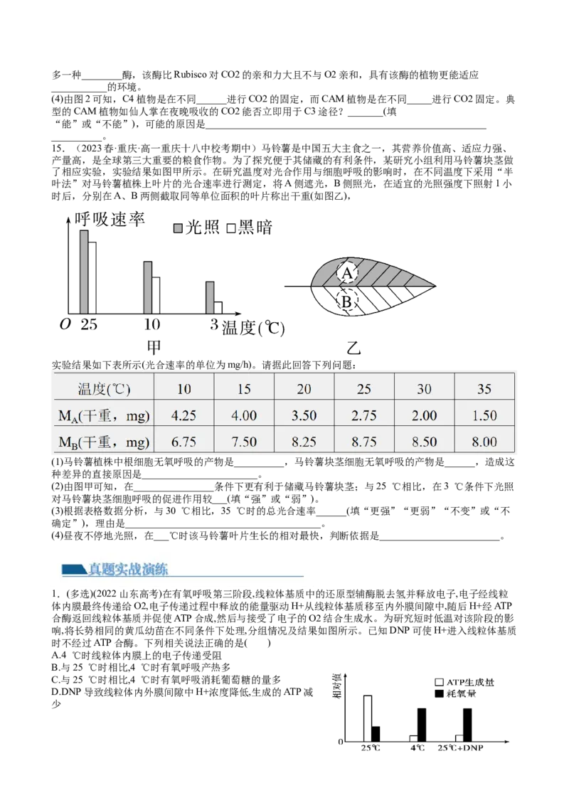 第11讲细胞代谢综合分析（练习）（原卷版）_2024年新高考资料_1.2024一轮复习_2024年高考生物一轮复习讲练测（新教材新高考）
