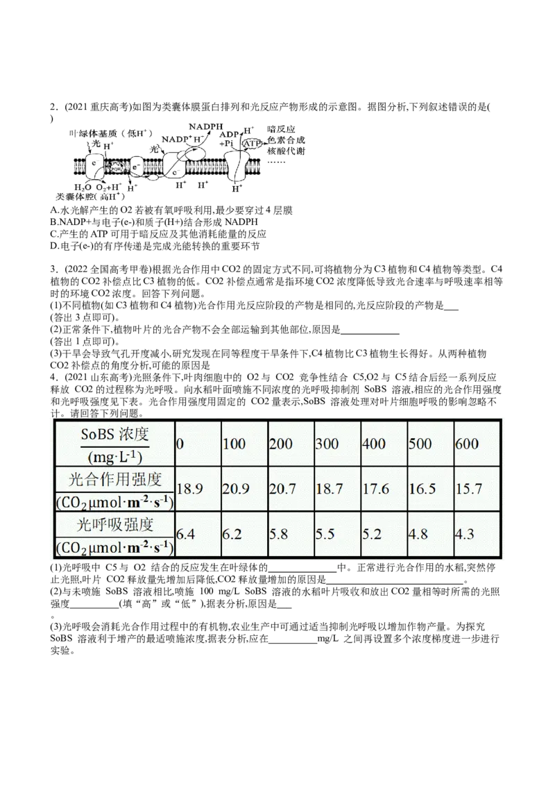 第11讲细胞代谢综合分析（练习）（原卷版）_2024年新高考资料_1.2024一轮复习_2024年高考生物一轮复习讲练测（新教材新高考）
