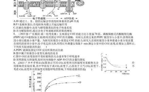 第11讲细胞代谢综合分析（练习）（原卷版）_2024年新高考资料_1.2024一轮复习_2024年高考生物一轮复习讲练测（新教材新高考）