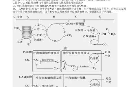 第11讲细胞代谢综合分析（练习）（原卷版）_2024年新高考资料_1.2024一轮复习_2024年高考生物一轮复习讲练测（新教材新高考）