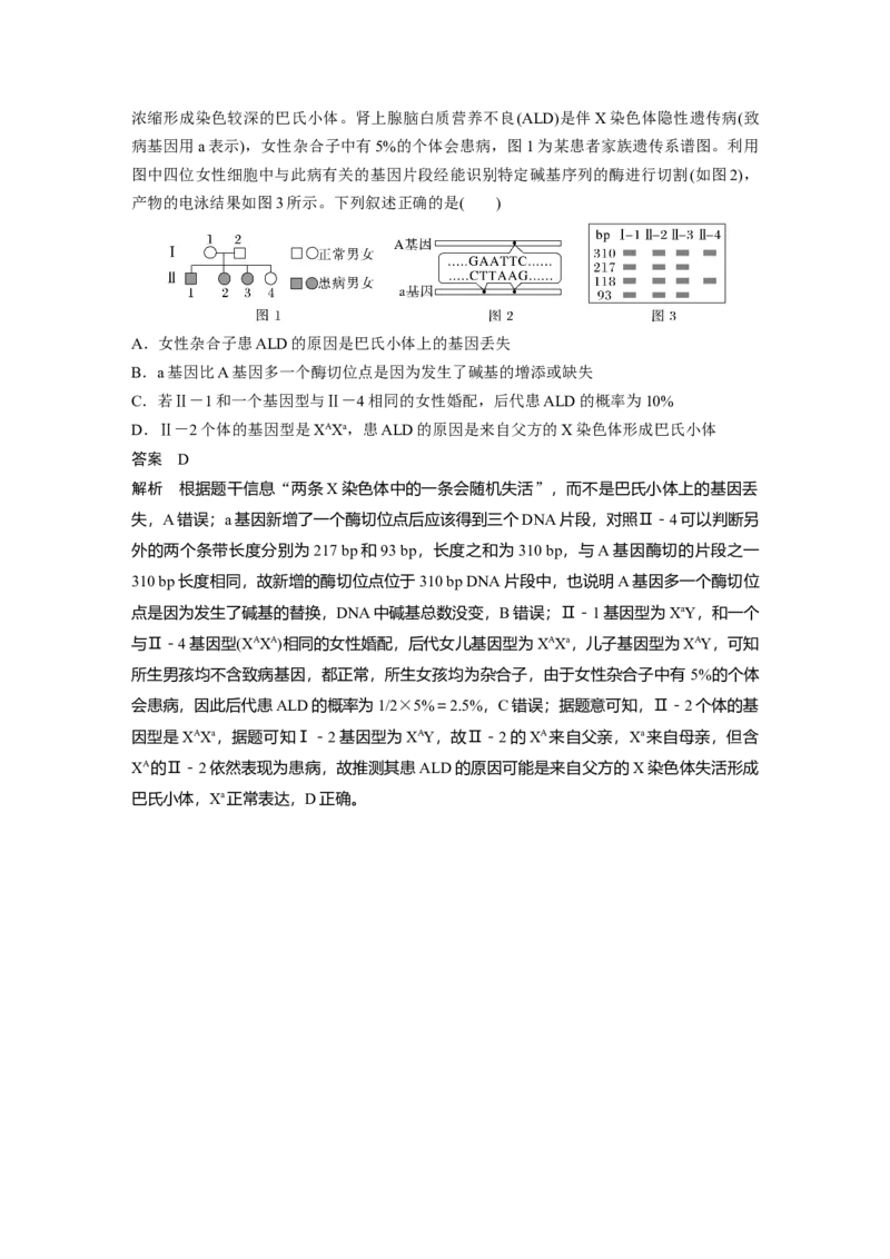 2023年高考生物二轮复习（全国版）第1篇专题突破专题4考点3　伴性遗传与人类遗传病_通用版（老高考）复习资料_2023年复习资料_二轮复习_2023年高考生物二轮复习讲义+课件（全国版）
