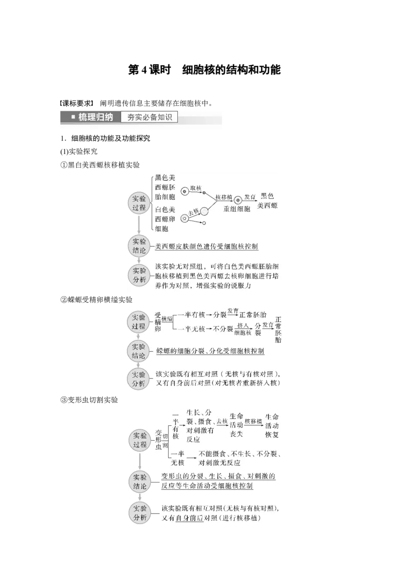 2023年高考生物一轮复习（新人教新高考）第2单元第4课时　细胞核的结构和功能_新高考复习资料_2023年新高考复习资料_一轮复习_2023年新高考大一轮复习讲义