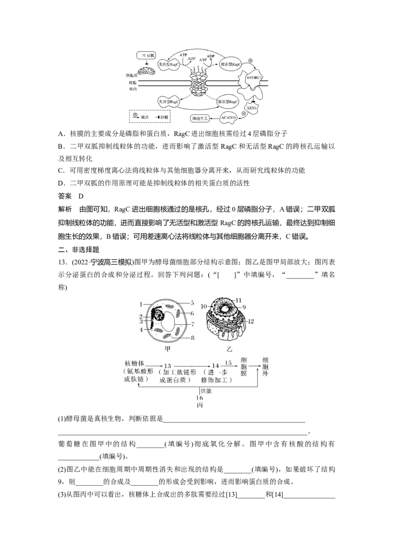 2023年高考生物一轮复习（新人教新高考）第2单元第4课时　细胞核的结构和功能_新高考复习资料_2023年新高考复习资料_一轮复习_2023年新高考大一轮复习讲义