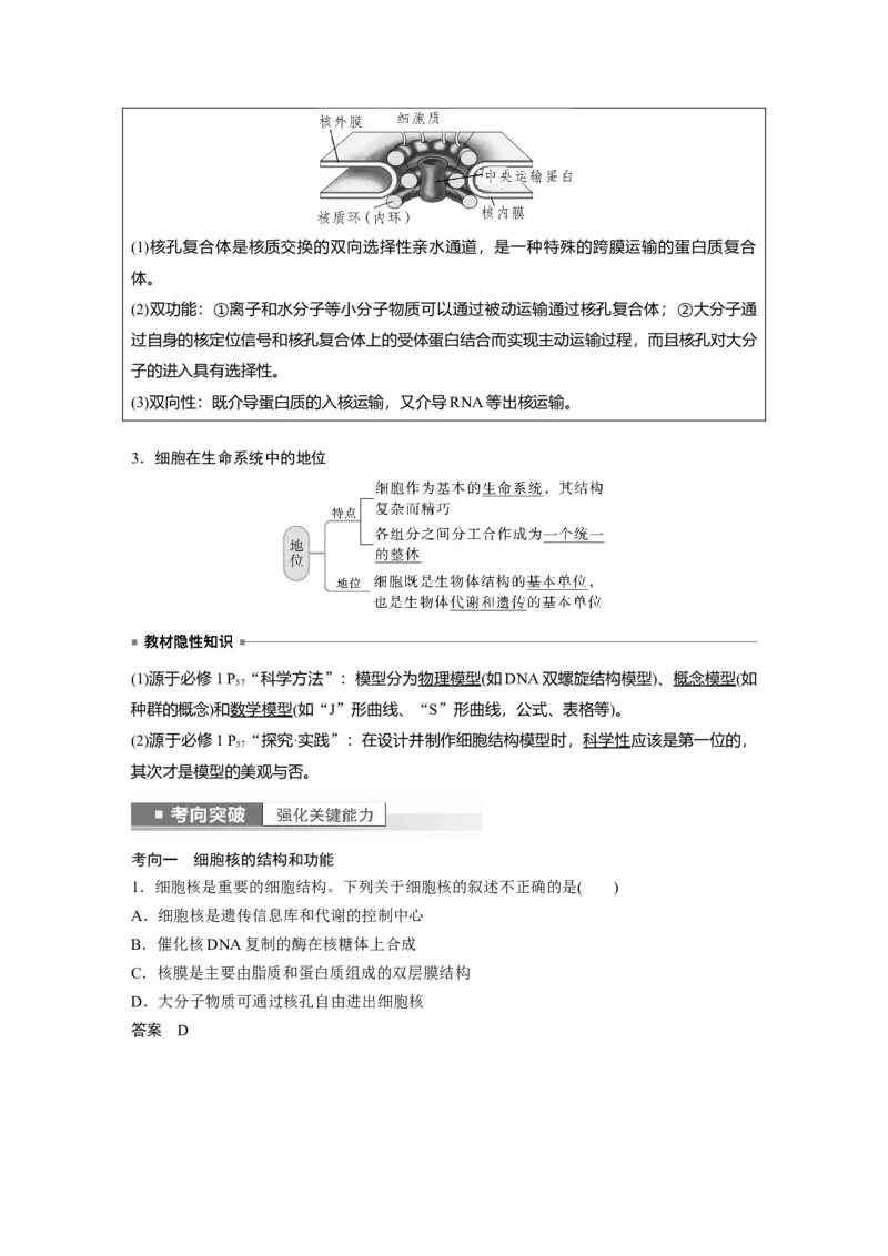 2023年高考生物一轮复习（新人教新高考）第2单元第4课时　细胞核的结构和功能_新高考复习资料_2023年新高考复习资料_一轮复习_2023年新高考大一轮复习讲义