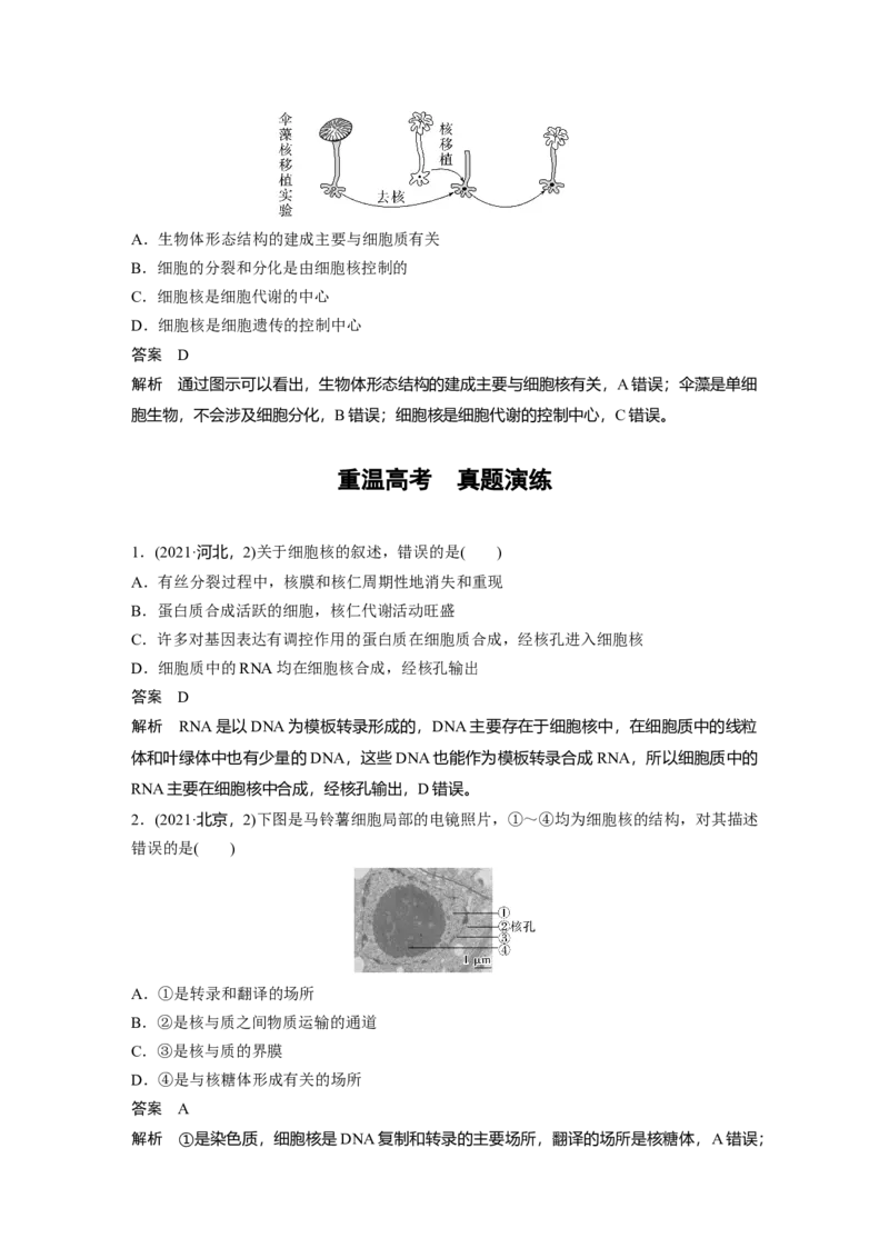 2023年高考生物一轮复习（新人教新高考）第2单元第4课时　细胞核的结构和功能_新高考复习资料_2023年新高考复习资料_一轮复习_2023年新高考大一轮复习讲义