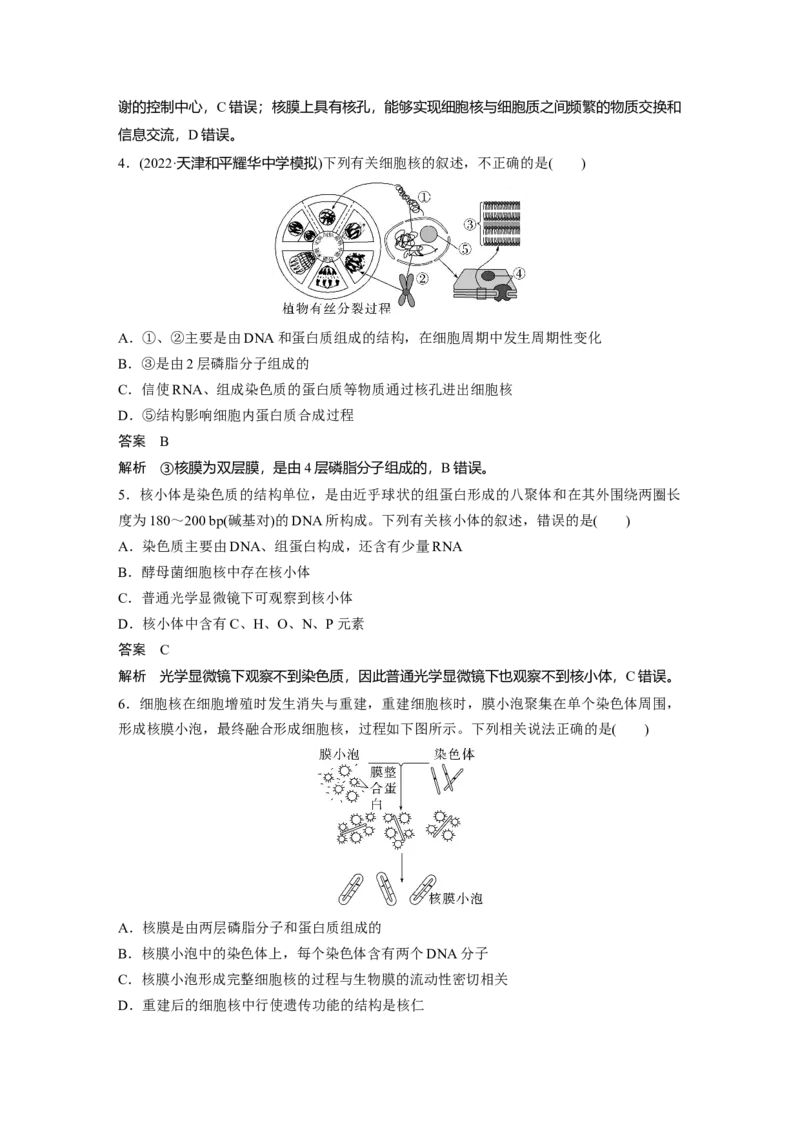 2023年高考生物一轮复习（新人教新高考）第2单元第4课时　细胞核的结构和功能_新高考复习资料_2023年新高考复习资料_一轮复习_2023年新高考大一轮复习讲义