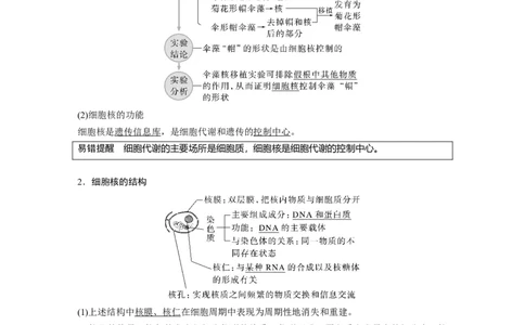 2023年高考生物一轮复习（新人教新高考）第2单元第4课时　细胞核的结构和功能_新高考复习资料_2023年新高考复习资料_一轮复习_2023年新高考大一轮复习讲义