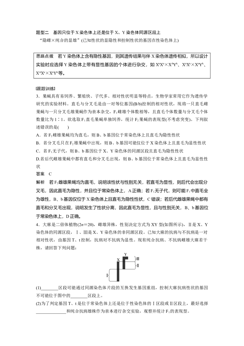 2023年高考生物一轮复习（全国版）第5单元微专题五　基因在染色体上的位置判断_通用版（老高考）复习资料_2023年复习资料_一轮复习_2023年高考生物一轮复习讲义+课件（全国版）