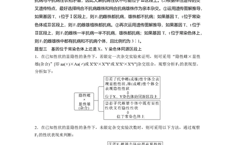 2023年高考生物一轮复习（全国版）第5单元微专题五　基因在染色体上的位置判断_通用版（老高考）复习资料_2023年复习资料_一轮复习_2023年高考生物一轮复习讲义+课件（全国版）